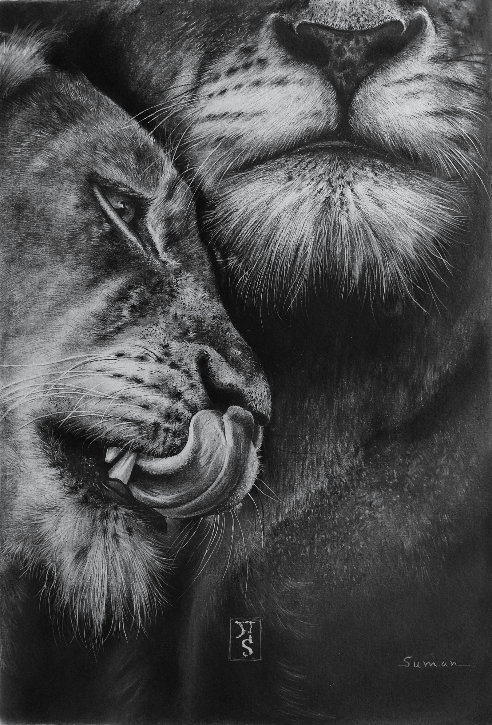 Affection ( charcoal )