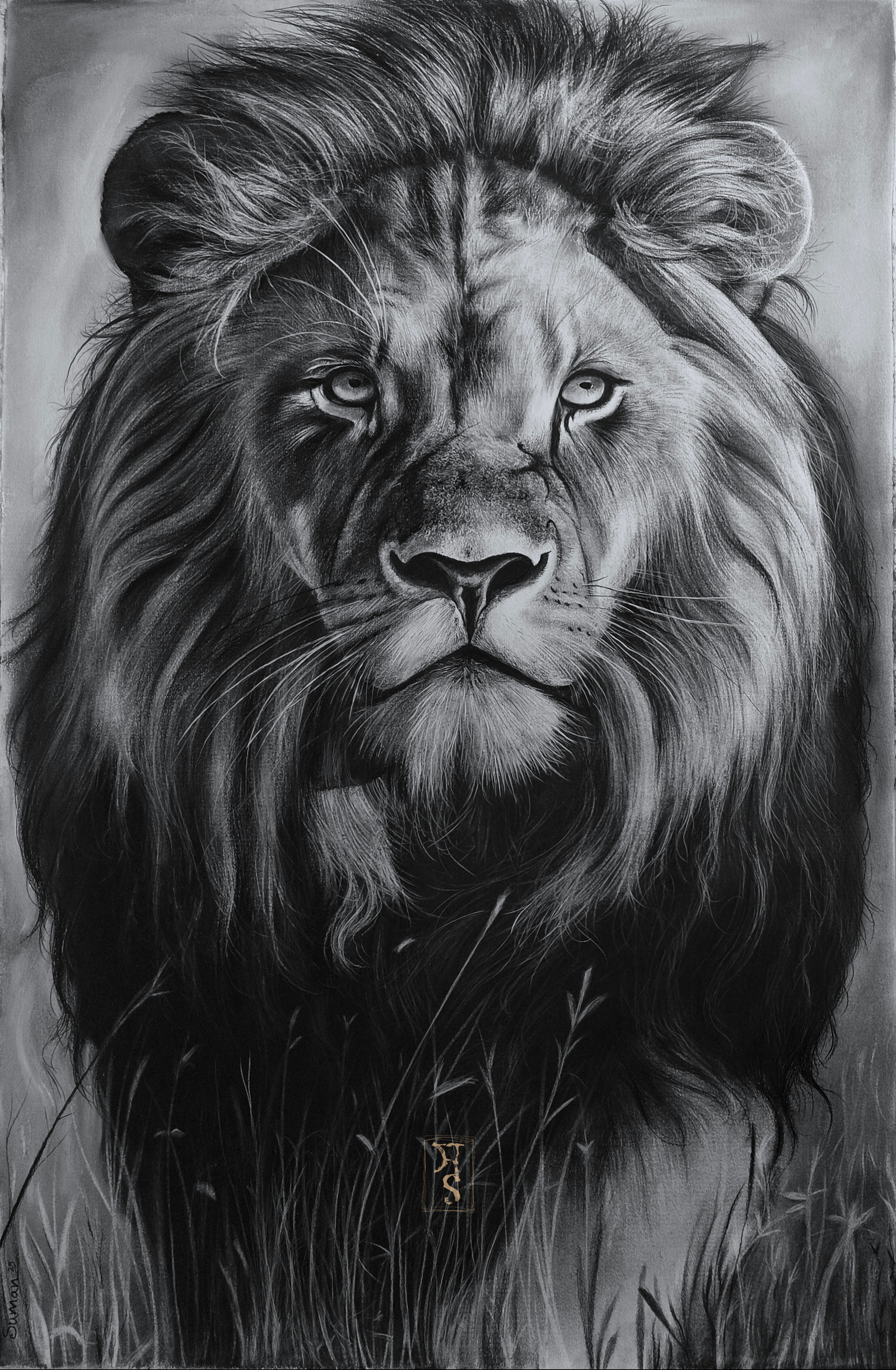 Emperor ( charcoal )